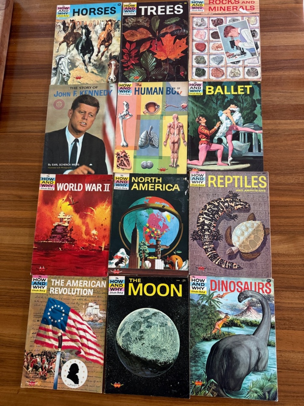 Vintage How and Why Book Lot of 12- Vintage Educational Series (Assorted Covers)